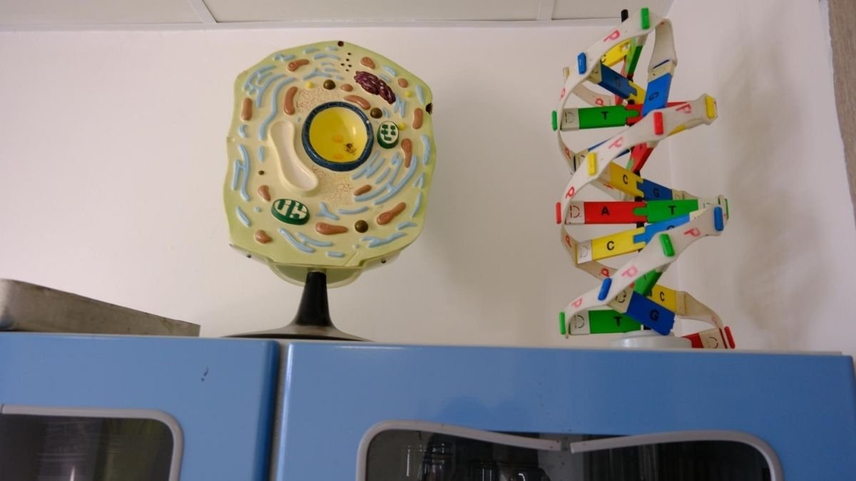 Biyoloji Laboratuvarı